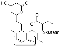 What type of alkene is boxed in lovastatin, a drug used to control cholesterol levels?   A)  A diene that is not conjugated B)  A conjugated diene C)  A polyene that is not conjugated D)  A conjugated polyene E)  This molecule does not contain an alkene.