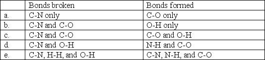 An important part of metabolism is the breakdown of proteins into smaller parts called amino acids. During the course of this reaction, some bonds are broken and others are formed. Select the choice that correctly lists the bonds that are broken and those that are formed.     A) a B) b C) c D) d E) e