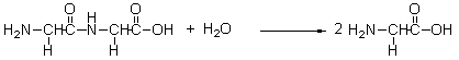 What is the meaning of the arrow in the following chemical equation?   A)  Heat is released from the reaction. B)  A product is substituted for a reactant. C)  The reactants collide. D)  The reactants are transformed into the products. E)  Heat is applied to the reactants.