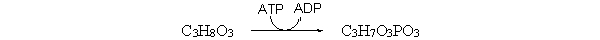 Which of the following terms describes the role of ATP in this reaction?   A)  The hydrolysis of ATP is inhibiting this reaction. B)  The hydrolysis of ATP is a catalyst for this reaction. C)  The hydrolysis of ATP is regulating this reaction. D)  The hydrolysis of ATP is coupled to this reaction. E)  All of the above