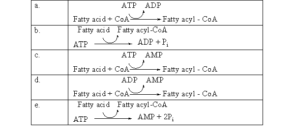 During fatty acid oxidation, a fatty acid must react with coenzyme A to become a fatty acyl-CoA, as shown below. Fatty acid + CoA → Fatty acyl - CoA ΔG = + 7.0 kcal/mol In the body, the reaction above is coupled to the hydrolysis of two phosphate groups from ATP as shown below: ATP → AMP + 2 P<sub>i</sub> ΔG = <font face= symbol ></font>15.7 kcal/mol Which of the following chemical equations correctly shows these two reactions coupled together?   A) a B) b C) c D) d E) e