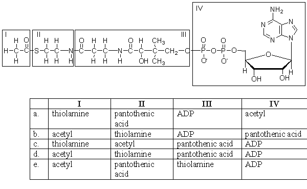 The structure below is acetyl coenzyme A. Select the choice in which each part of acetyl coenzyme A is correctly labeled.   A) a B) b C) c D) d E) e