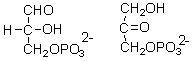 What is the relationship between the following two intermediates in glycolysis?   A)  They are identical. B)  They are conformers. C)  They are enantiomers. D)  They are constitutional isomers. E)  They are diastereomers.