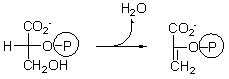 One of the steps of glycolysis is given below. What type of reaction is this?   A)  oxidation B)  hydration C)  hydrogenation D)  dehydration E)  phosphoryl transfer