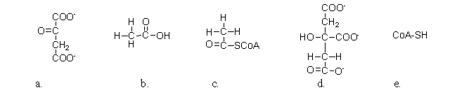 The citric acid cycle has a unique circular appearance when written due to the regeneration of oxaloacetate. Which of the following molecules is oxaloacetate?   A) a B) b C) c D) d E) e