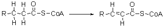 The first step of <font face= symbol ></font>-oxidation is shown below. What type of reaction is this?   A)  oxidation B)  reduction C)  hydration D)  hydrolysis E)  hydrogenation