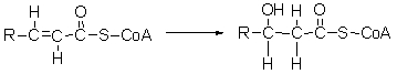 The second step of <font face= symbol ></font>-oxidation is shown below. What type of reaction is this?   A)  oxidation B)  reduction C)  hydration D)  hydrolysis E)  hydrogenation