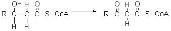 The third step of <font face= symbol ></font>-oxidation is shown below. What type of reaction is this?   A)  oxidation B)  reduction C)  hydration D)  hydrolysis E)  hydrogenation