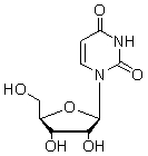 The molecule below is found in   A)  DNA. B)  protein. C)  steroids. D)  RNA. E)  starch.