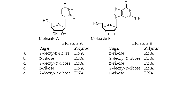 In which of the following choices is the name of the sugar and the polymer in which it is found correct?   A) a B) b C) c D) d E) e