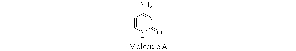 Molecule A is a(n)  A)    adenine. B)  thymine. C)  guanine. D)  uracil. E)  cytosine.