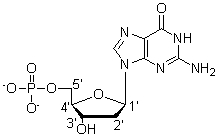 Which carbon is the anomeric carbon?   A)  1<font face= symbol ></font> B)  2<font face= symbol ></font> C)  3<font face= symbol ></font> D)  4<font face= symbol ></font> E)  5<font face= symbol ></font>