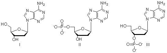 Which of the following molecules is a nucleotide?   A)  I only B)  II only C)  III only D)  I and II E)  II and III