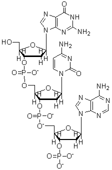 The structure below is a   A)  dinucleotide. B)  dinucleoside. C)  trinucleotide. D)  trinucleoside. E)  tetranucleoside.