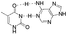 The following figure illustrates a(n)  _______ base pair.   A)  G-C B)  A-C C)  A-T D)  A-U E)  G-T