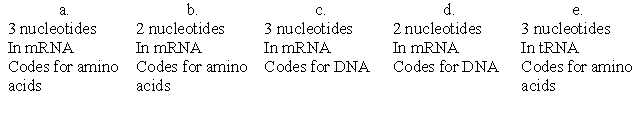 Which of the following lists of characteristics accurately describes a codon?   A) a B) b C) c D) d E) e