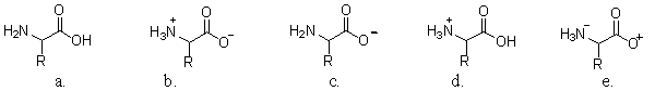 <strong>Which of the following structures illustrates an amino acid at physiological pH? </strong> A)a B)b C)c D)d E)e
