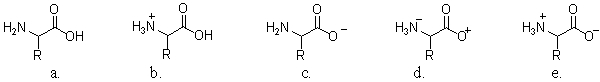 <strong>Which of the following structures illustrates an amino acid in a solution with a high pH? </strong> A)a B)b C)c D)d E)e