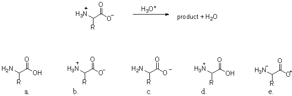 <strong>At low pH, the amino acid zwitterion reacts with hydronium (H<sub>3</sub>O<sup>+</sup>). What is the product of this acid-base reaction? </strong> A)a B)b C)c D)d E)e