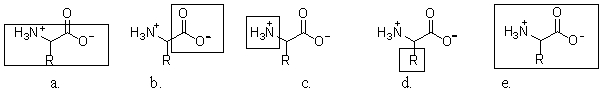 In which of the following structures is the box ONLY around the amino acid side chain?   A) a B) b C) c D) d E) e