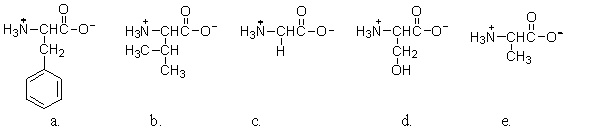 <strong>Which of the amino acids does NOT contain a chiral carbon? </strong> A)a B)b C)c D)d E)e