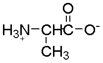 <strong>The carbon with a smiley face over it is a(n) </strong> A) beta carbon. B) anomeric carbon. C) center of chirality. D) secondary amine. E) peptide bond.