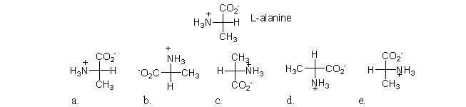 Which of the following structures is the enantiomer of l-alanine?   A) a B) b C) c D) d E) e