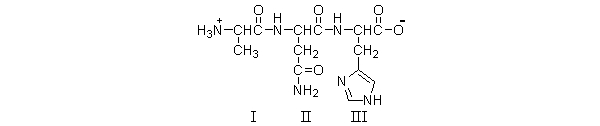 Which of the amino acids in the following structure are at the N-terminus?   A)  all of them B)  I only C)  III only D)  II and III E)  I and III