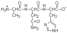 <strong>Is the peptide shown below chiral? </strong> A) No, molecules with multiple centers of chirality are not chiral. B) Yes, it has centers of chirality. C) No, it has no centers of chirality. D) Yes, it has no centers of chirality. E) It is not possible to determine whether or not the peptide is chiral.