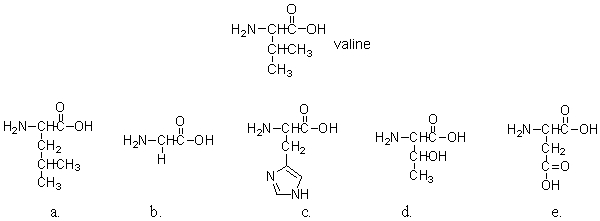 <strong>Sometimes, substitutions of one amino acid for another in a protein results in a large change in secondary and tertiary structure. Sometimes, the substitution leads to very little change. The structure of valine is shown below. Which of the choices of amino acids given would probably cause the least amount of perturbation to protein structure if it was substituted for a valine? </strong> A)a B)b C)c D)d E)e