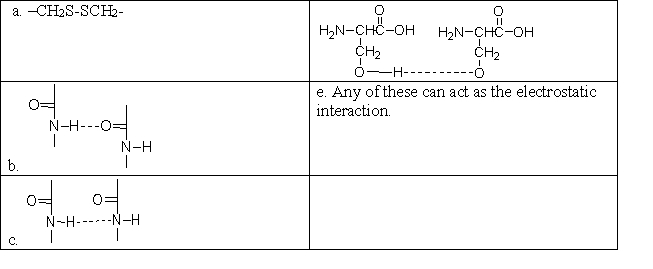 Which of the following correctly shows the electrostatic interaction between amino acids that holds an <font face= symbol ></font>-helix or <font face= symbol ></font>-pleated sheet together?   A) a B) b C) c D) d E) e