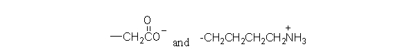 What type of interaction would you expect between the following R groups in the tertiary structure of a protein?   A)  hydrogen bonds B)  hydrophobic interactions C)  peptide bonds D)  disulfide bonds E)  salt bridges