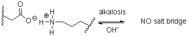 During alkalosis of a protein, shown below, salt bridges are broken, resulting in denaturation. Which choice shows the products of alkalosis?     A)  a B)  b C)  c D)  d E)  e
