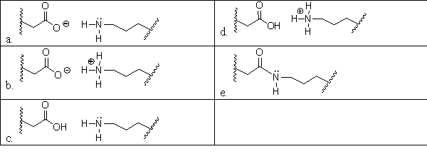 During alkalosis of a protein, shown below, salt bridges are broken, resulting in denaturation. Which choice shows the products of alkalosis?     A)  a B)  b C)  c D)  d E)  e