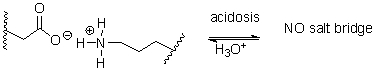 During acidosis of a protein, shown below, salt bridges are broken, resulting in denaturation. Which choice shows the products of alkalosis?     A)  a B)  b C)  c D)  d E)  e