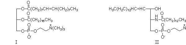 Both of these lipids are found in   A)  cell membranes. B)  mitochondria. C)  proteins. D)  steroids. E)  soap.