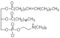 The component of a cell membrane shown below is a   A)  glycerophospholipid. B)  glycosphingolipid. C)  sphingomyelin. D)  triacylglycerol. E)  fatty acid.
