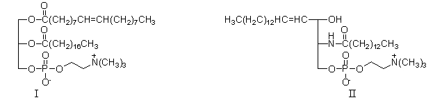 Lipid II contains which of the following functional groups not found in lipid I?   A)  amide B)  alcohol C)  alkene D)  amide and alcohol E)  amide, alcohol, and alkene