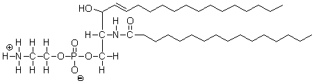 <strong>What type of lipid is this molecule? </strong> A) This is a triacylglycerol. B) This is a glycerophospholipid. C) This is a glycosphingolipid. D) This is a sphingomyelin. E) This is a cerebroside.