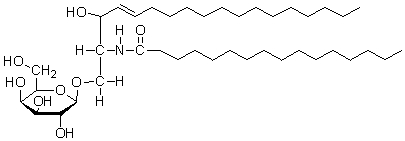 <strong>The following molecule is a cerebroside. What characteristics does this molecule have? </strong> A) The molecule has a sphingosine backbone and a galactose sugar. B) The molecule has a glycerol backbone and a galactose sugar. C) The molecule contains an amine. D) The molecule has a sphingosine backbone and a glucose sugar. E) The molecule has a glycerol backbone and a glucose sugar.