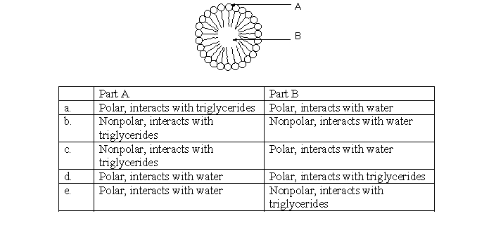 Which of the following choices best describes the structure and function of a chylomicron, illustrated below?   A)  a B)  b C)  c D)  d E)  e