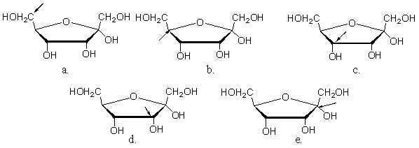 In which of the following Haworth projections is the arrow pointing to the anomeric carbon?   A) a B) b C) c D) d E) e