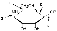 Which of the following arrows is pointing to a glycosidic bond?   A)  a only B)  b only C)  c only D)  b and c E)  b, c, and d