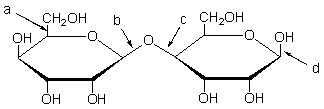 Which of the following arrows is pointing to a glycosidic bond?   A)  a only B)  b only C)  c only D)  b and c E)  b, c, and d