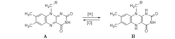The following reaction shows the oxidation-reduction reaction of FAD/FADH<sub>2</sub>. Which choice correctly identifies each molecule?     A) a B) b C) c D) d E) e