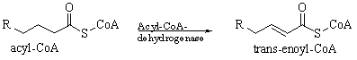 The following reaction is an example of a(n)    A)  neutralization. B)  combustion. C)  oxidation. D)  reduction. E)  condensation.