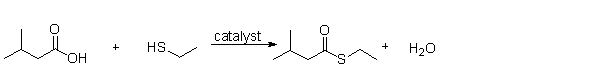 What is the name of the functional group produced by the following reaction?   A)  a thioester B)  a sulfur C)  a sulfhydride D)  a thiol E)  a hydrogen sulfide