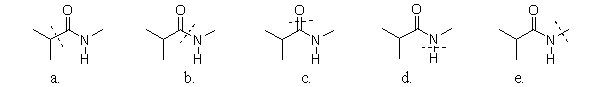 Which amide has a line through the bond that is broken during hydrolysis?   A) a B) b C) c D) d E) e