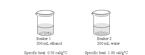 The two beakers below each have added to them the same amount of heat energy. Which statement best describes what would happen to the temperatures of the two beakers?   A)  The temperature of the two beakers will remain the same. B)  The temperatures of the two beakers will increase by the same amount. C)  The temperature of beaker 1 will increase more than that of beaker 2. D)  The temperature of beaker 2 will increase more than that of beaker 1. E)  It is not possible to predict how the temperature of the beakers will change.