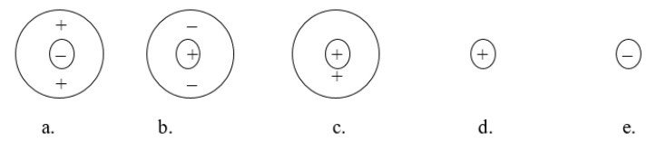 Which of the following atomic diagrams best represents H<sup>+</sup>?   A)  figure a B)  figure b C)  figure c D)  figure d E)  figure e
